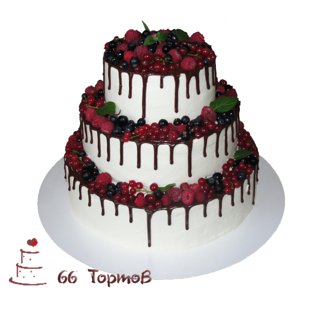 66 Тортов — кадр 2 из 20