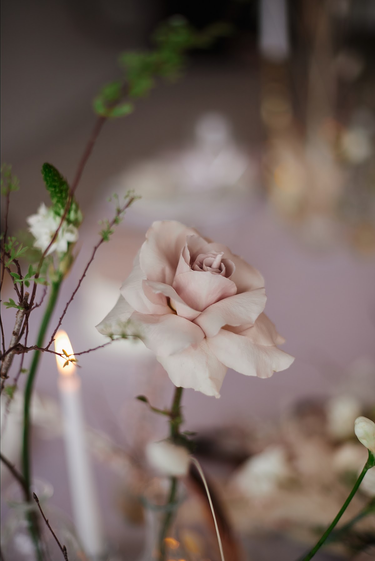 Кадр 40 из 48