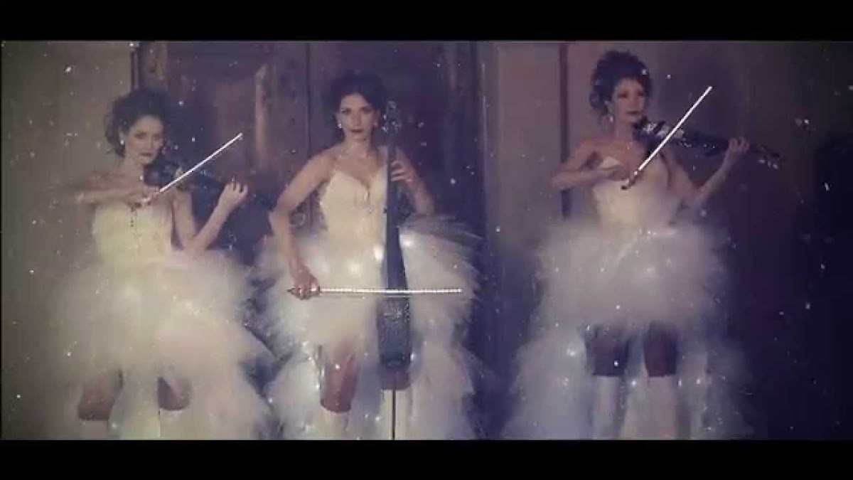 скрипичное шоу Delight Show