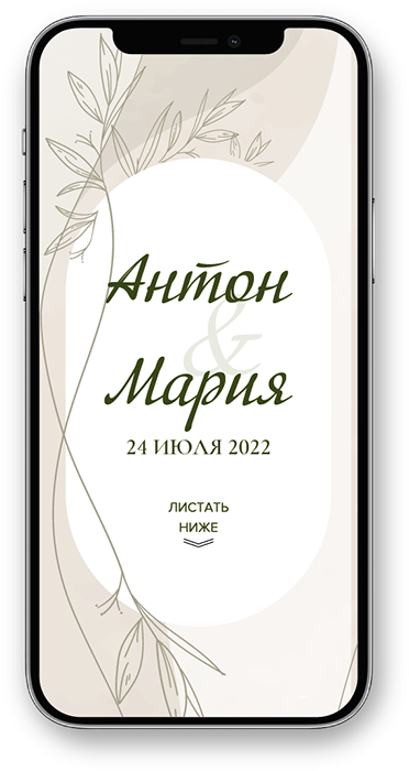 Портфолио