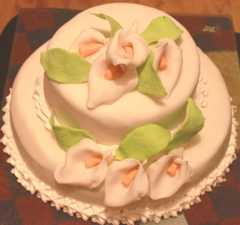 Екатерина Дудникова