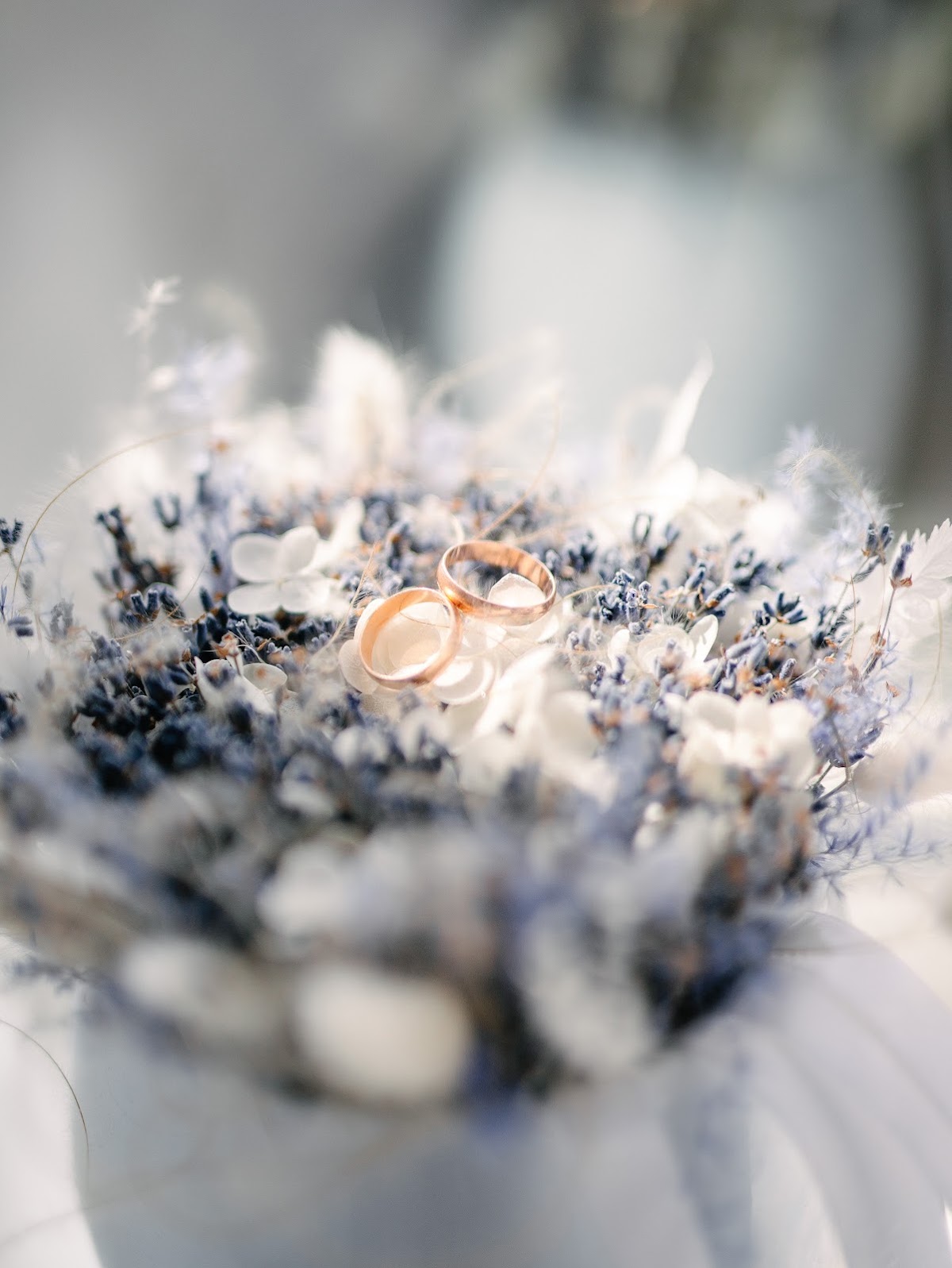 Lavender day