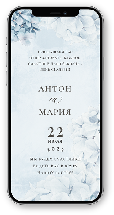 Портфолио