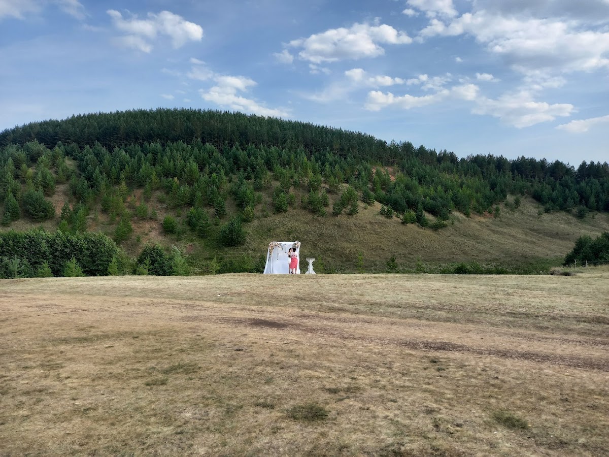 Фотографии
