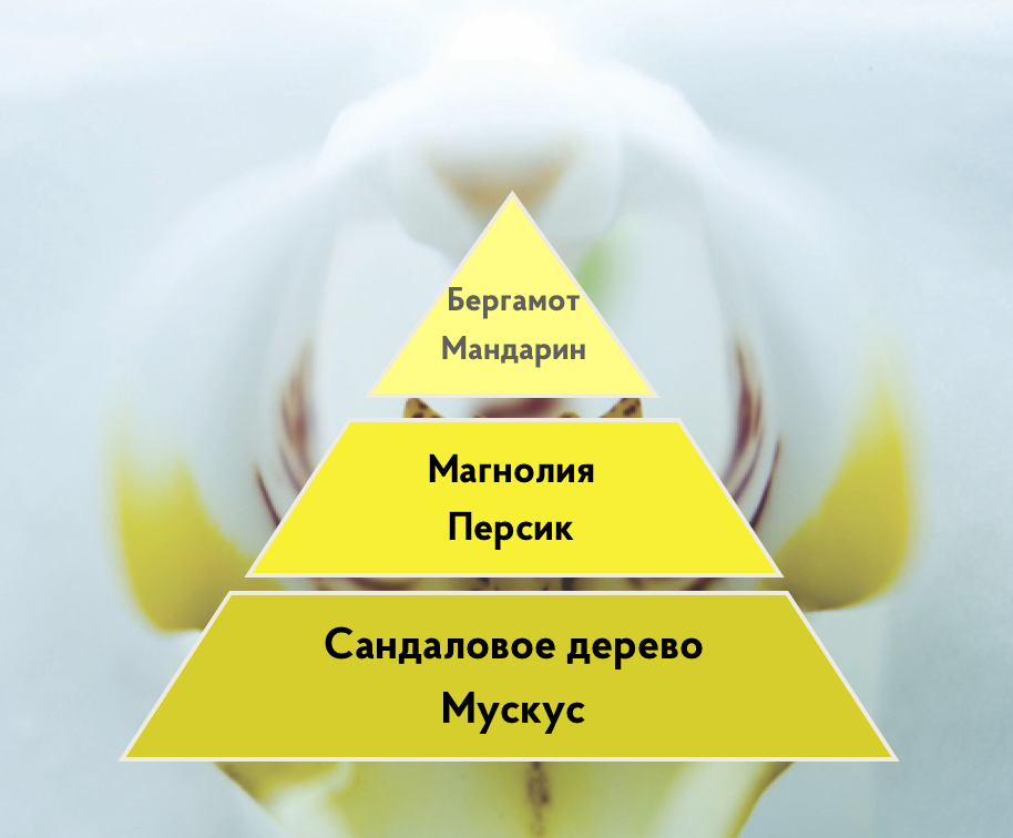 Ароматизация мероприятия