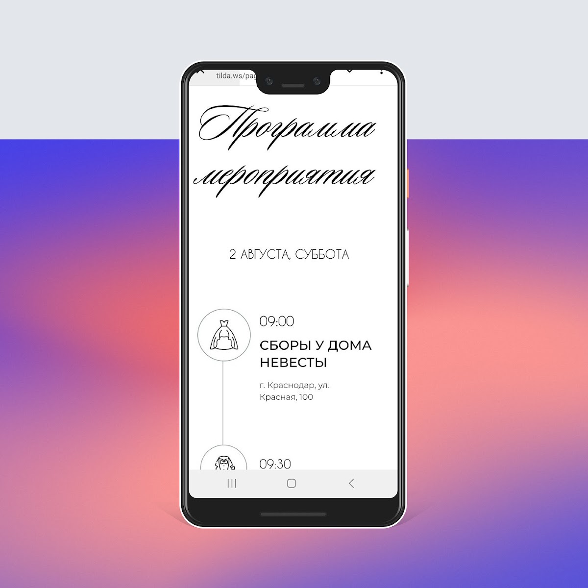 Портфолио
