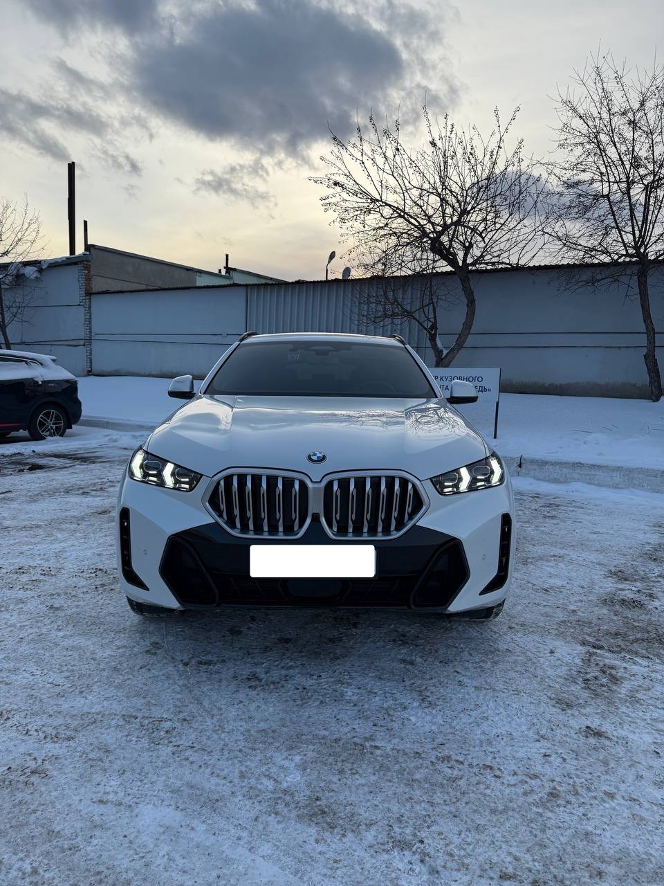 BMW X6