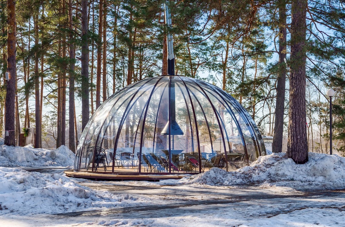 Территория