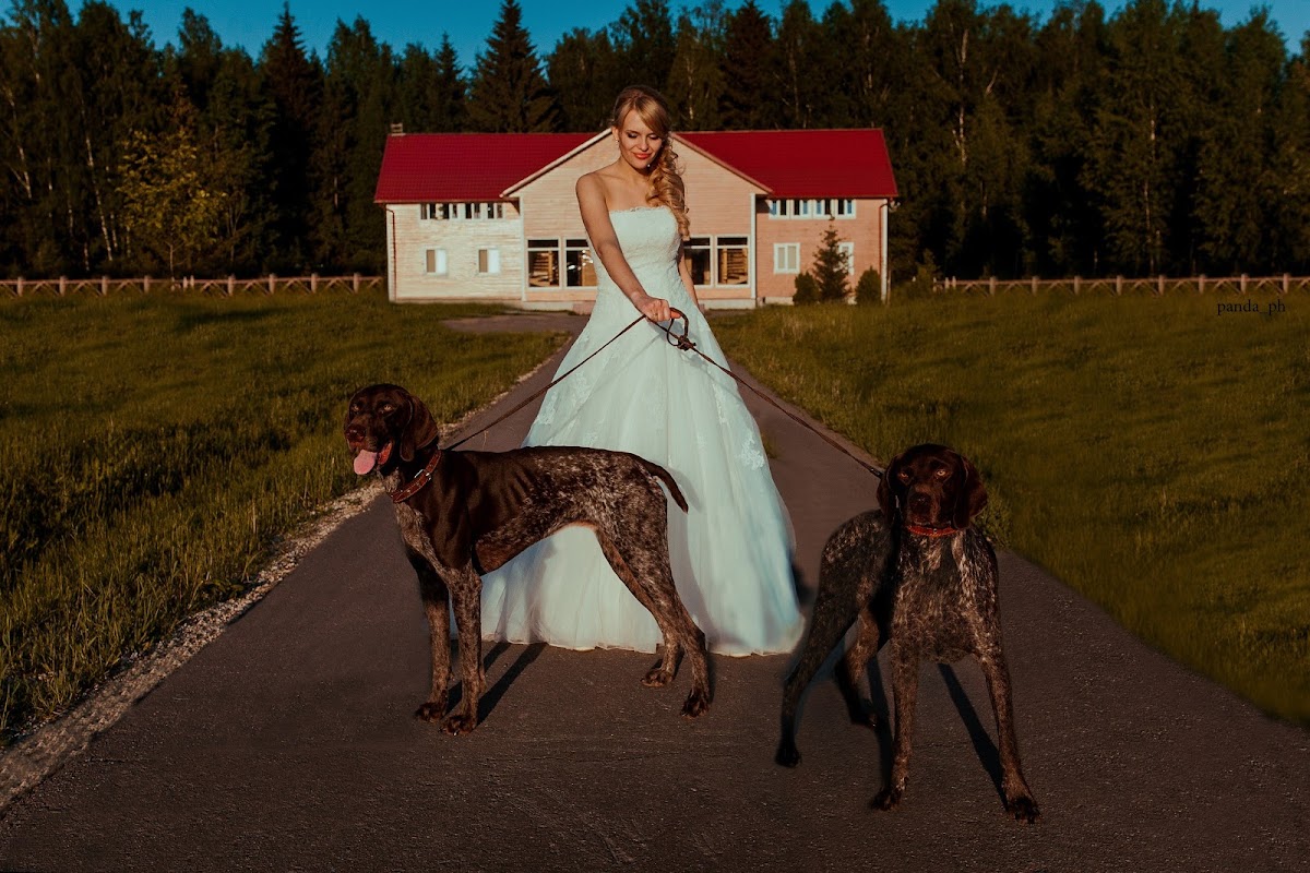 Свадебный отчёт