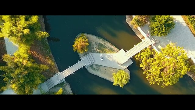 Портфолио: Свадьба