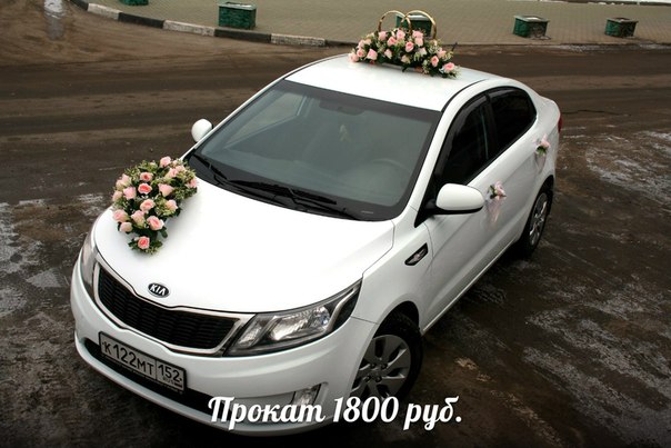 Кадр 184 из 196
