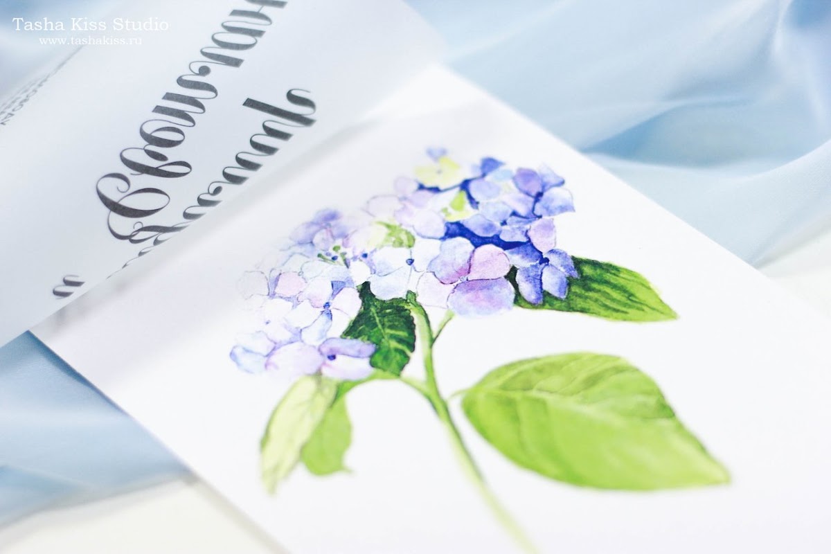 Кадр 37 из 62