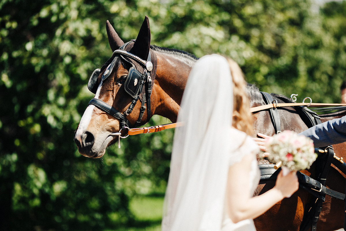 Катя и Энсли. English wedding. Шоумен Сергей Калашников. Фото Екатерина Романова