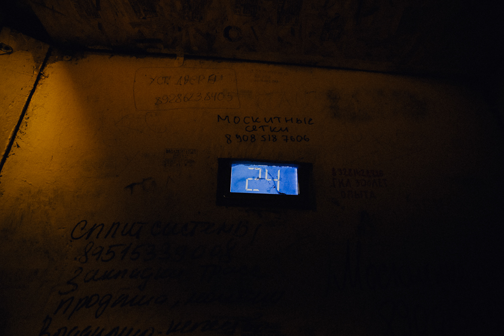 Лиза и Вова