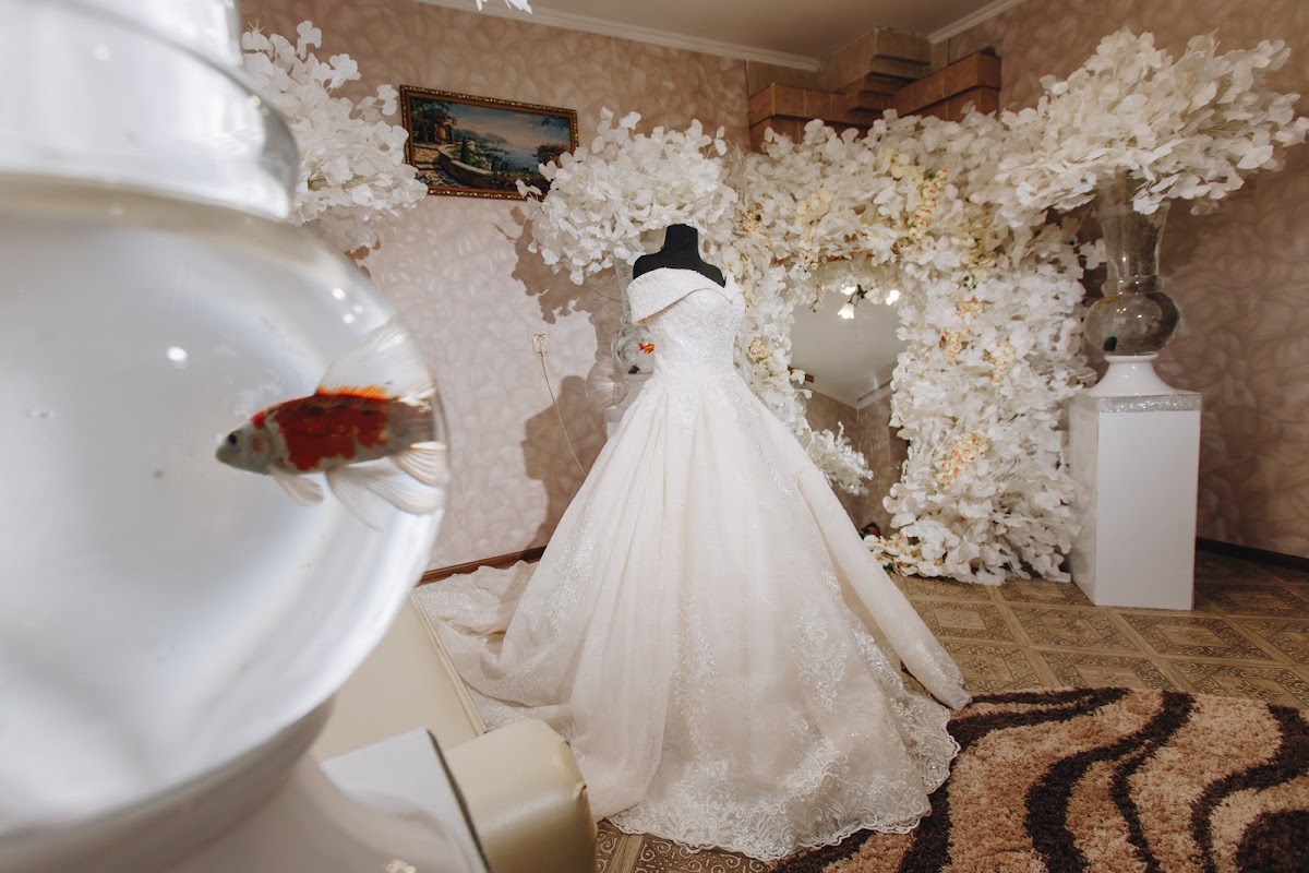 Shef-decor
