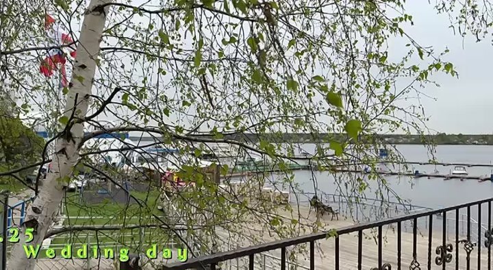 Портфолио со свадеб