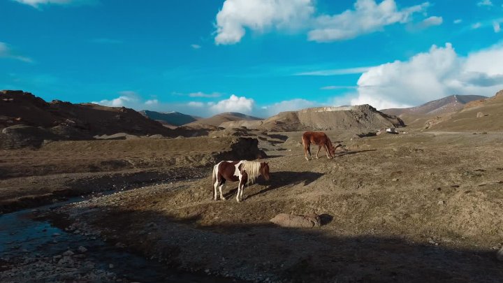 Фотографии