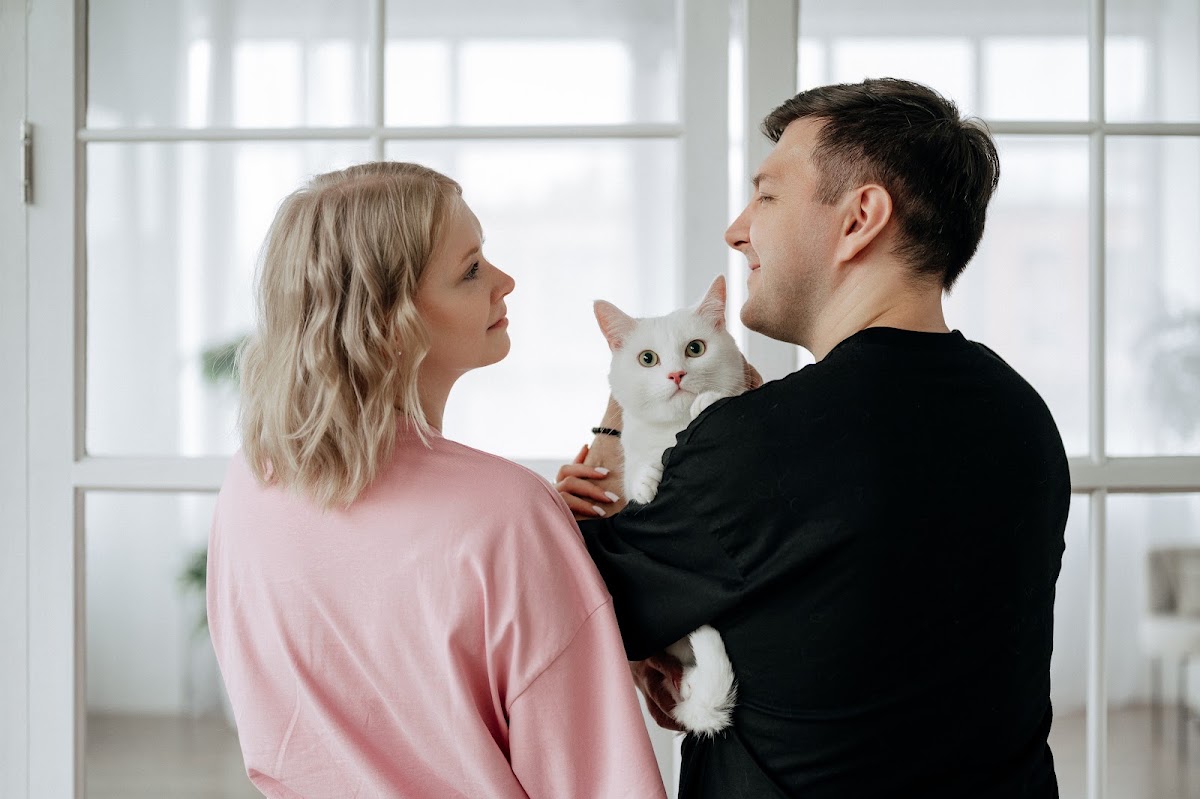 Love story с котами