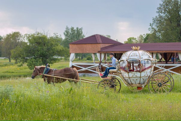 Фотогалерея ресторана