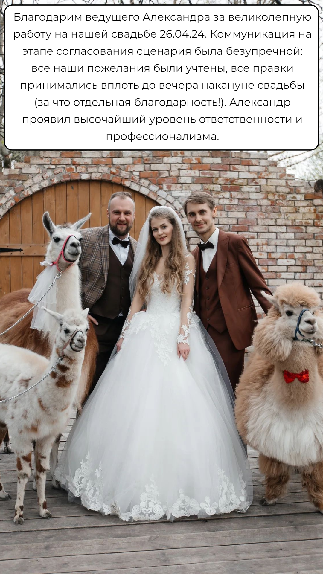 Отзывы