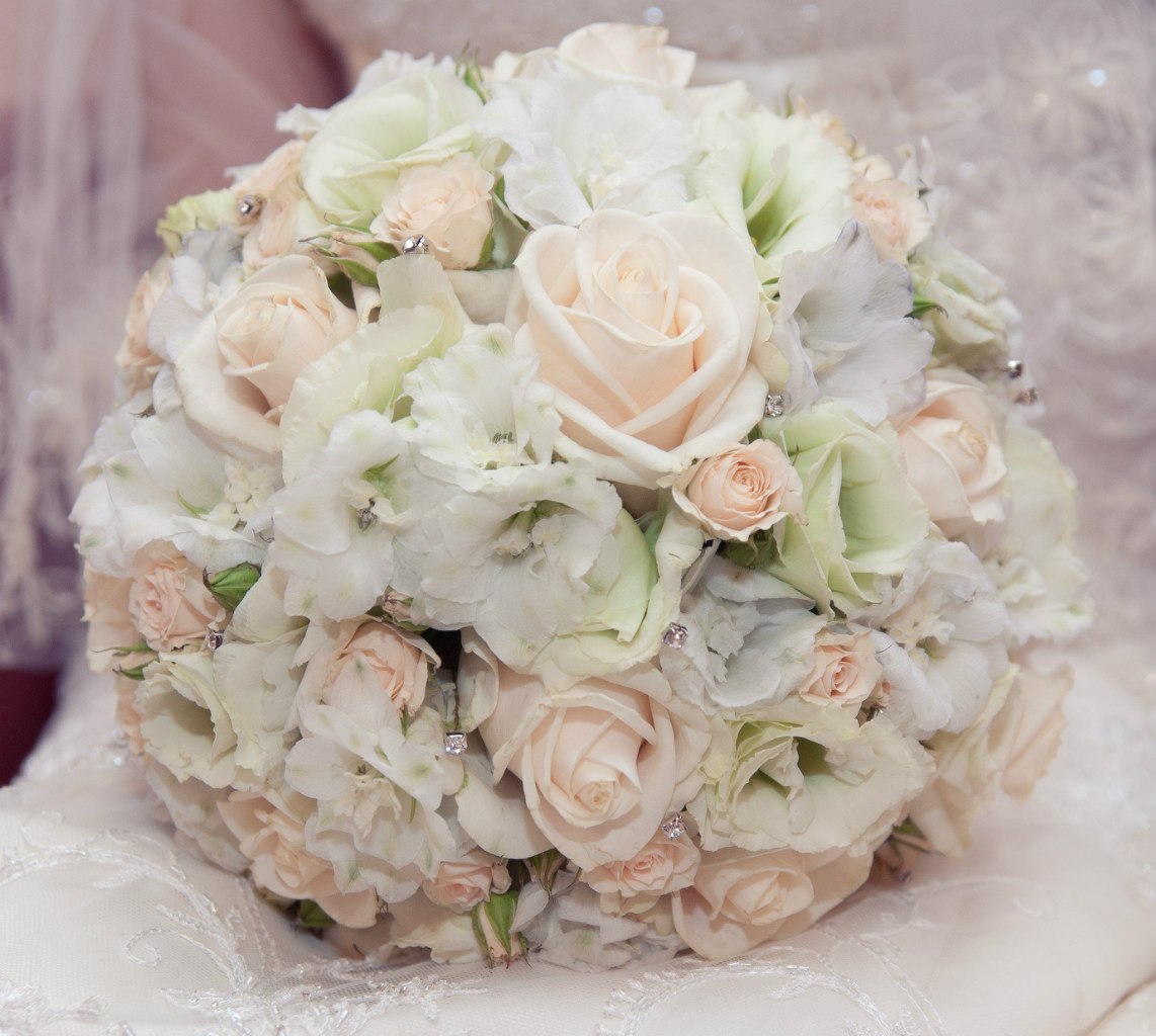 Beauty Flowers