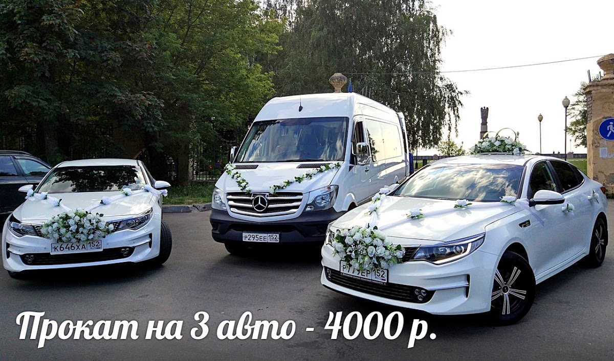 Портфолио