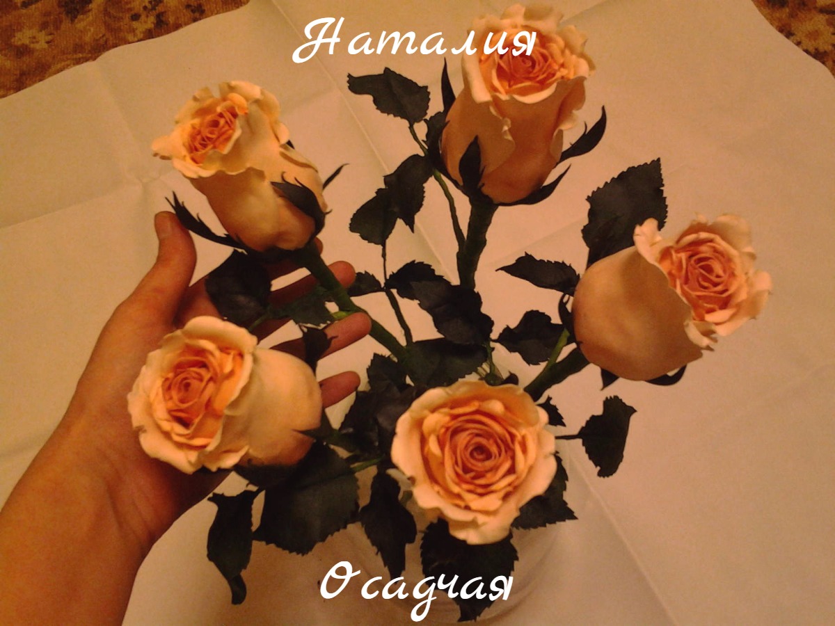 Кадр 70 из 103