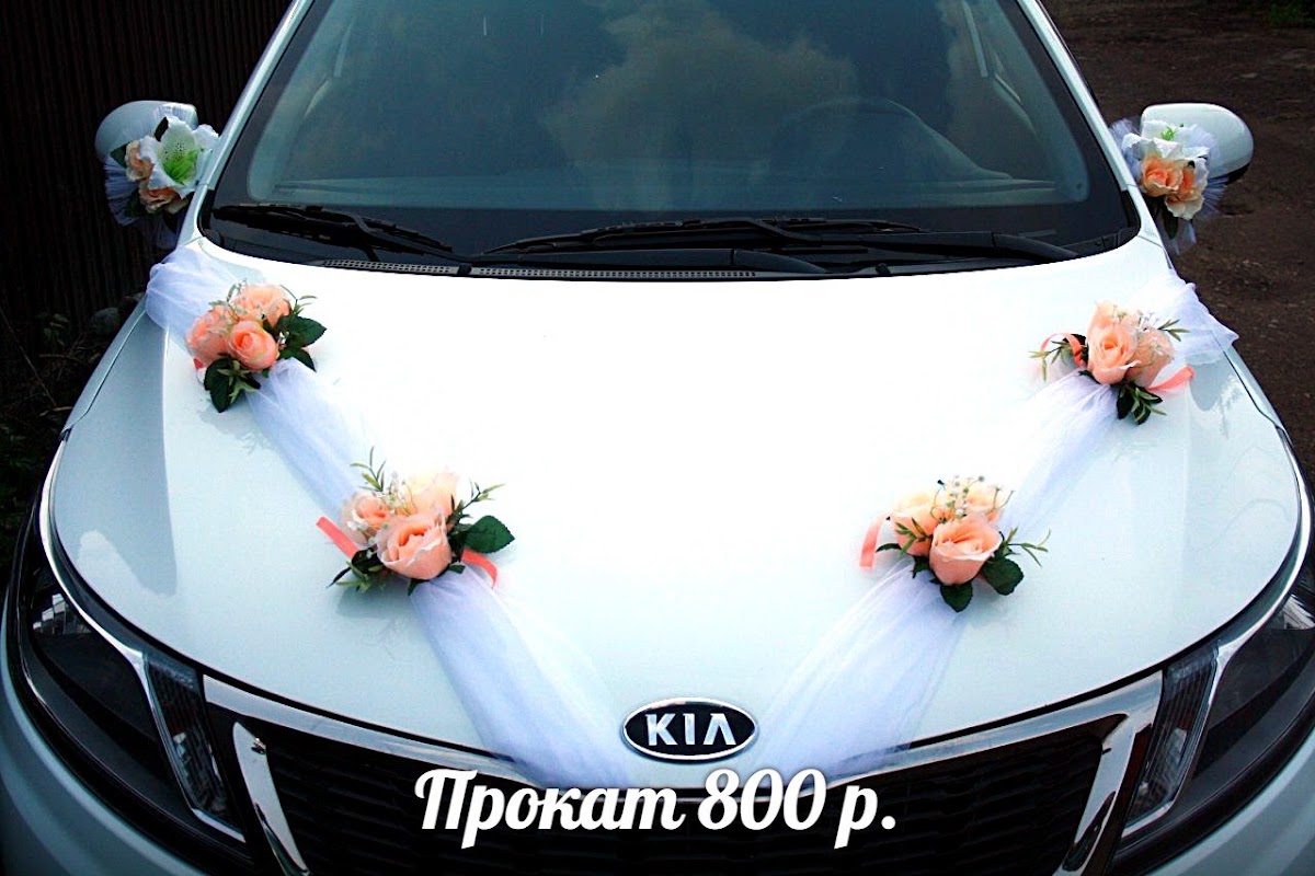 Портфолио
