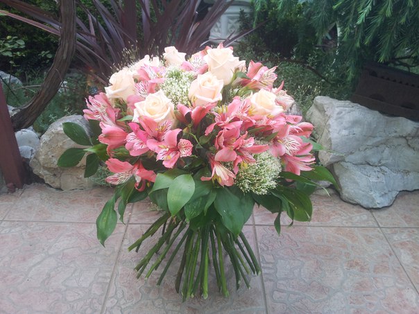 Портфолио