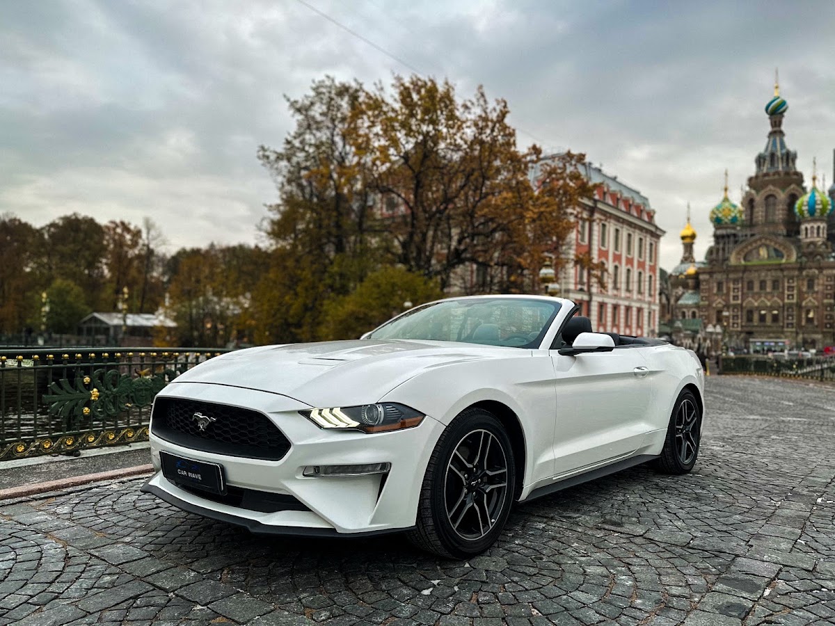 Ford Mustang — кадр 5 из 9