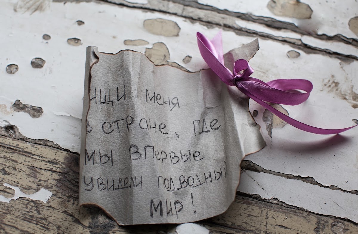 Евгения и Дмитрий