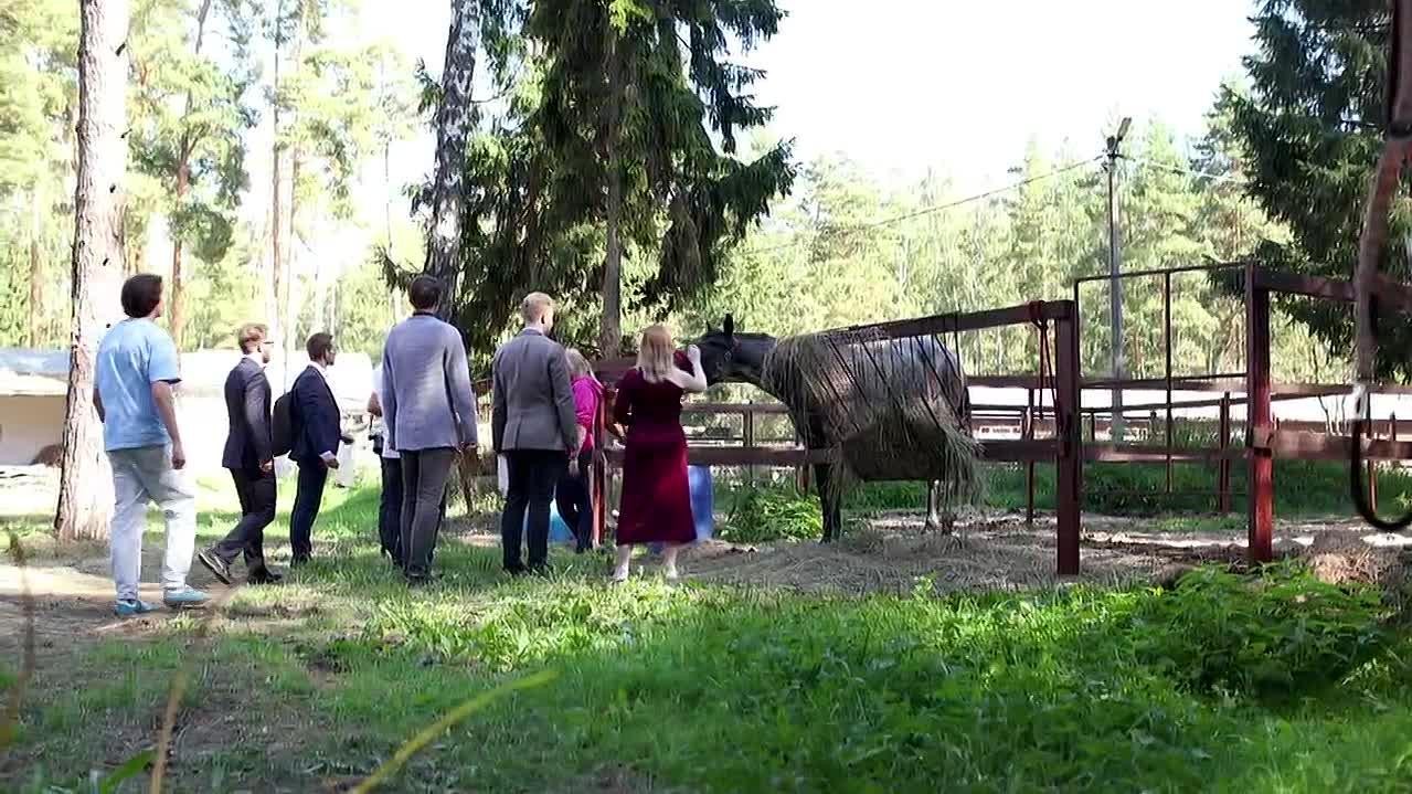Дмитрий и Алёна