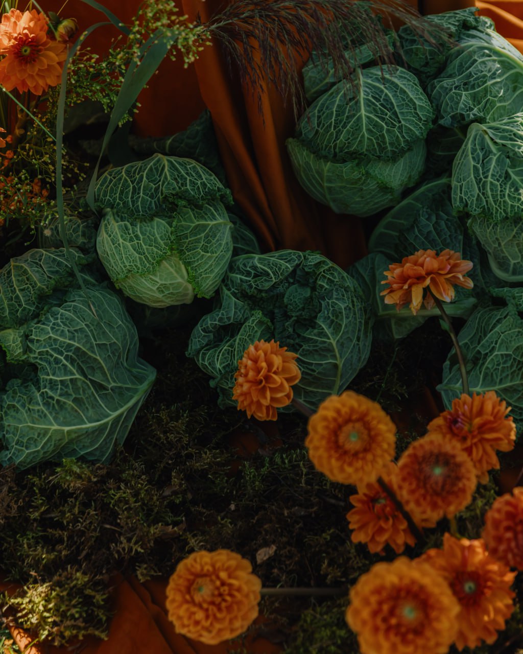 ‘garden of fire’
