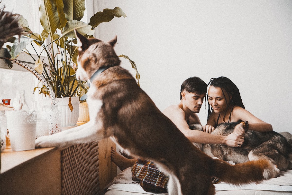 Love и Love me