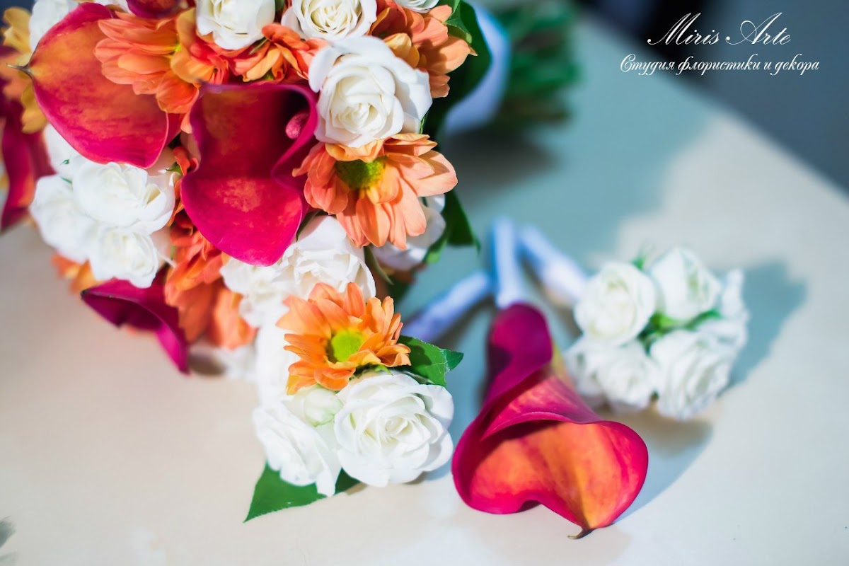 Портфолио