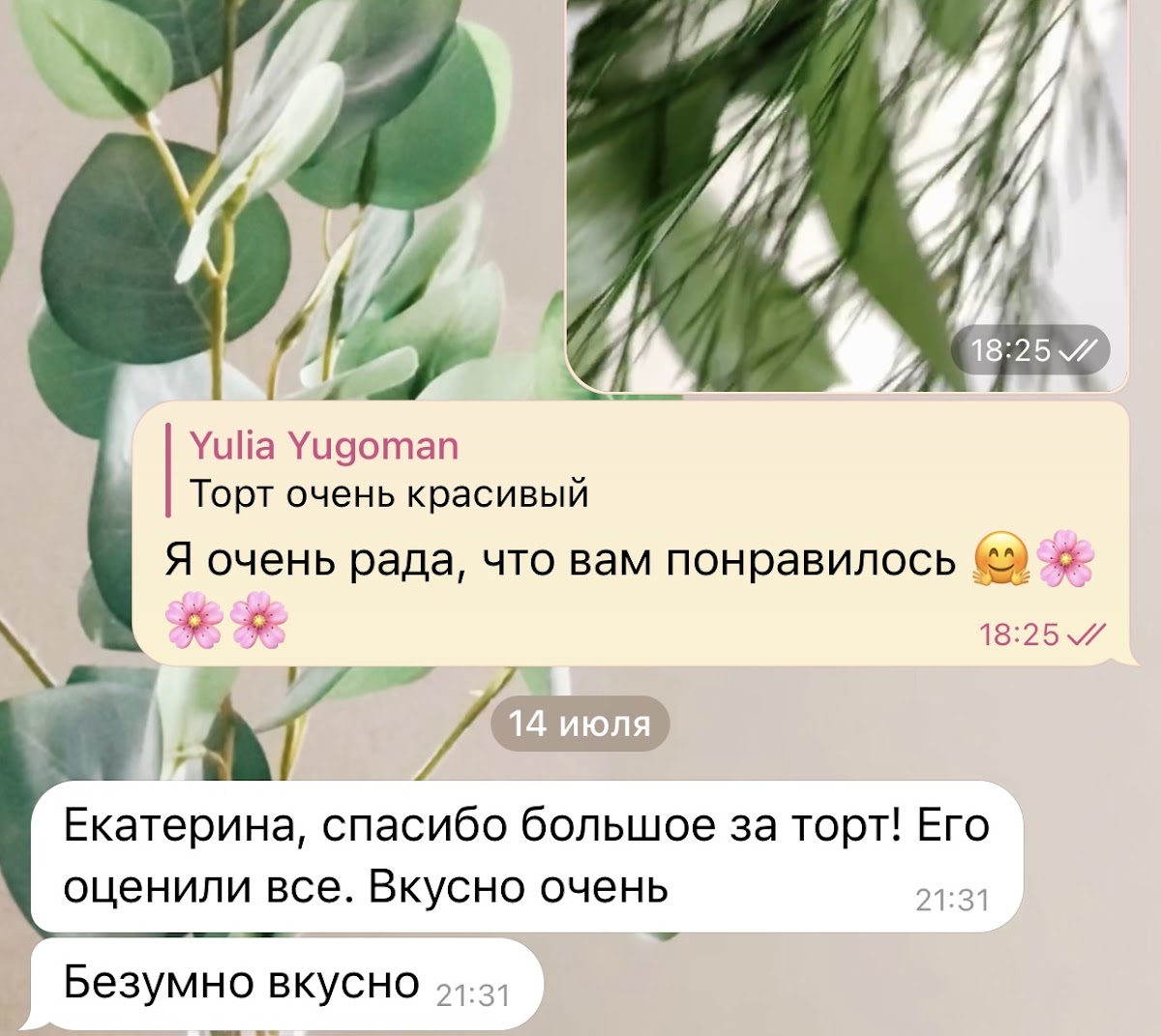 Отзывы