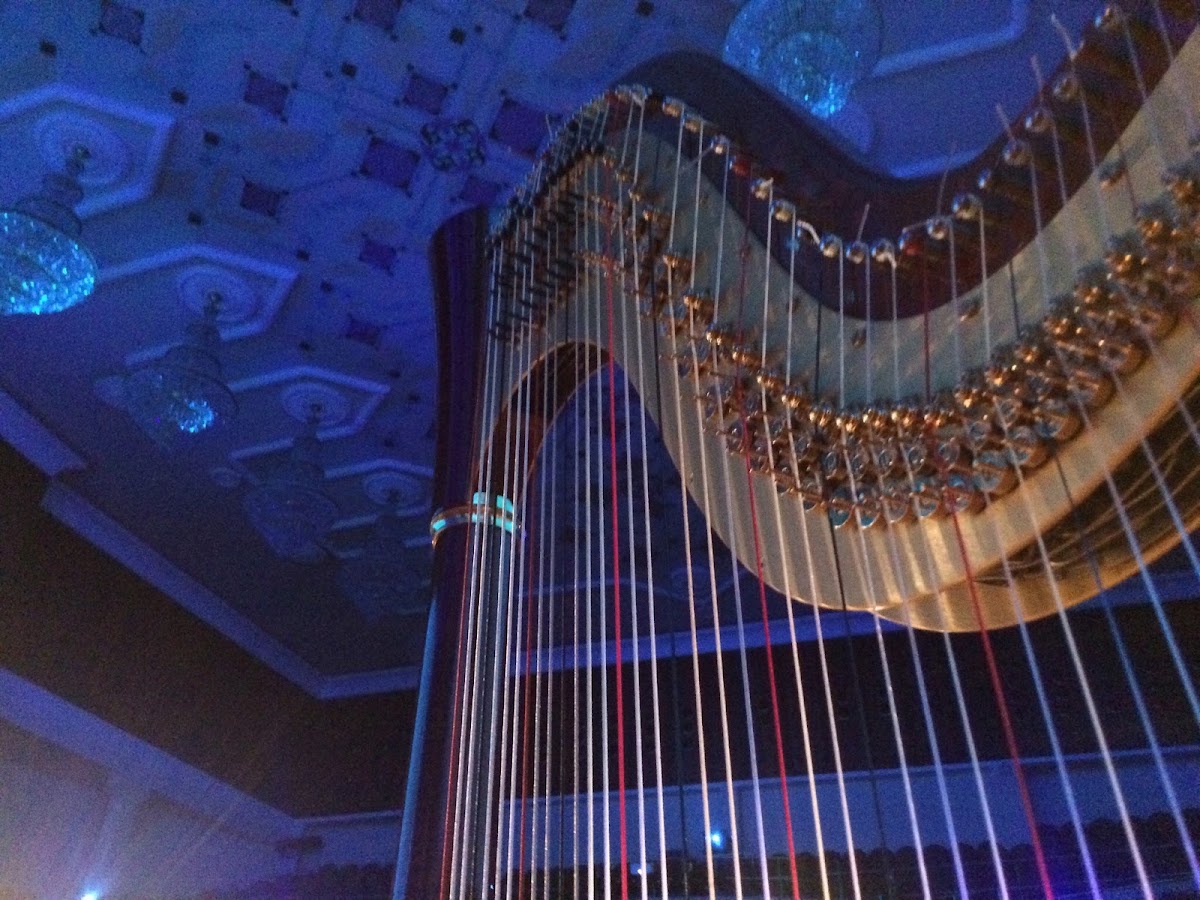 Wonder Harp
