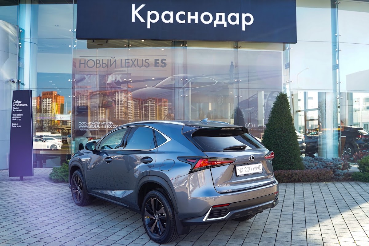 Портфолио: Предметы