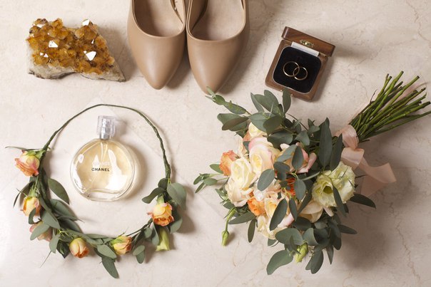 Olivia floristic