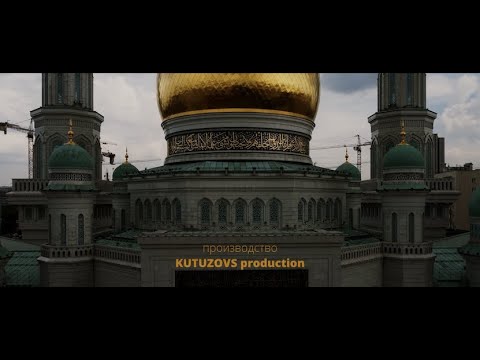 Клипы