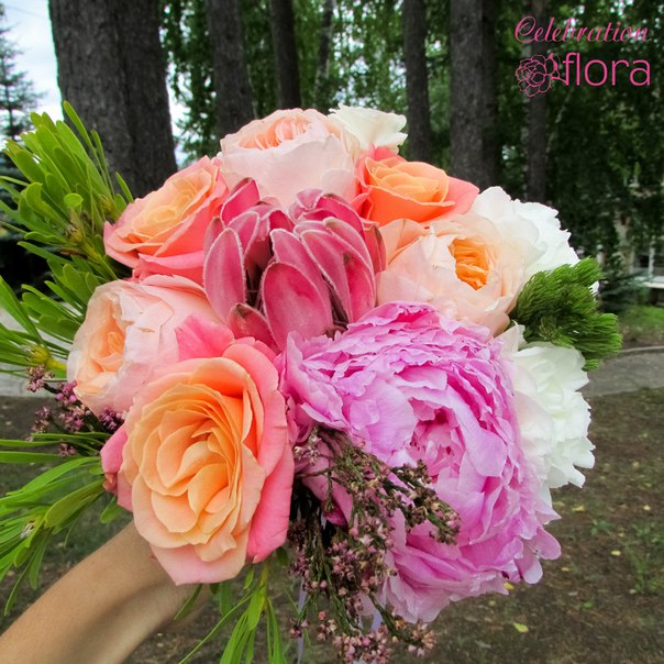 Celebration Flora