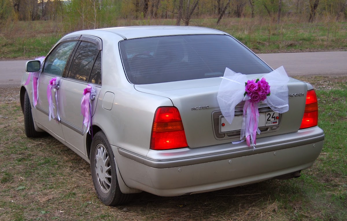 Сиреневые розы
