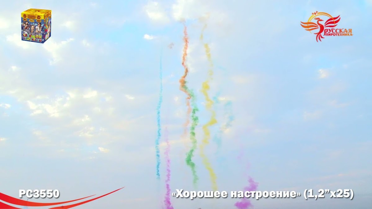 Портфолио: Дневной салют