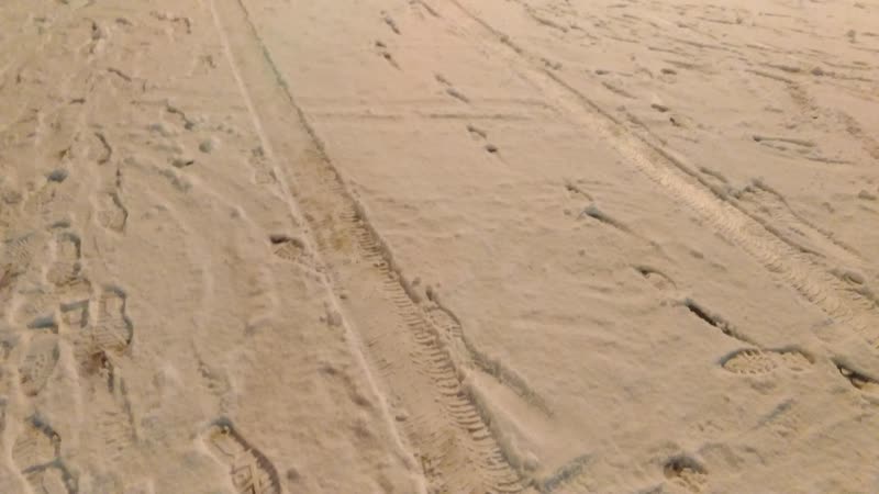 Портфолио: Корпоратив на Новый Год