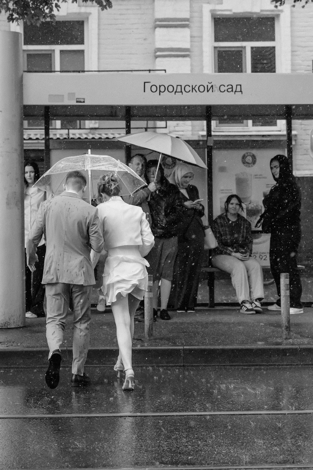 Портфолио: Свадьба