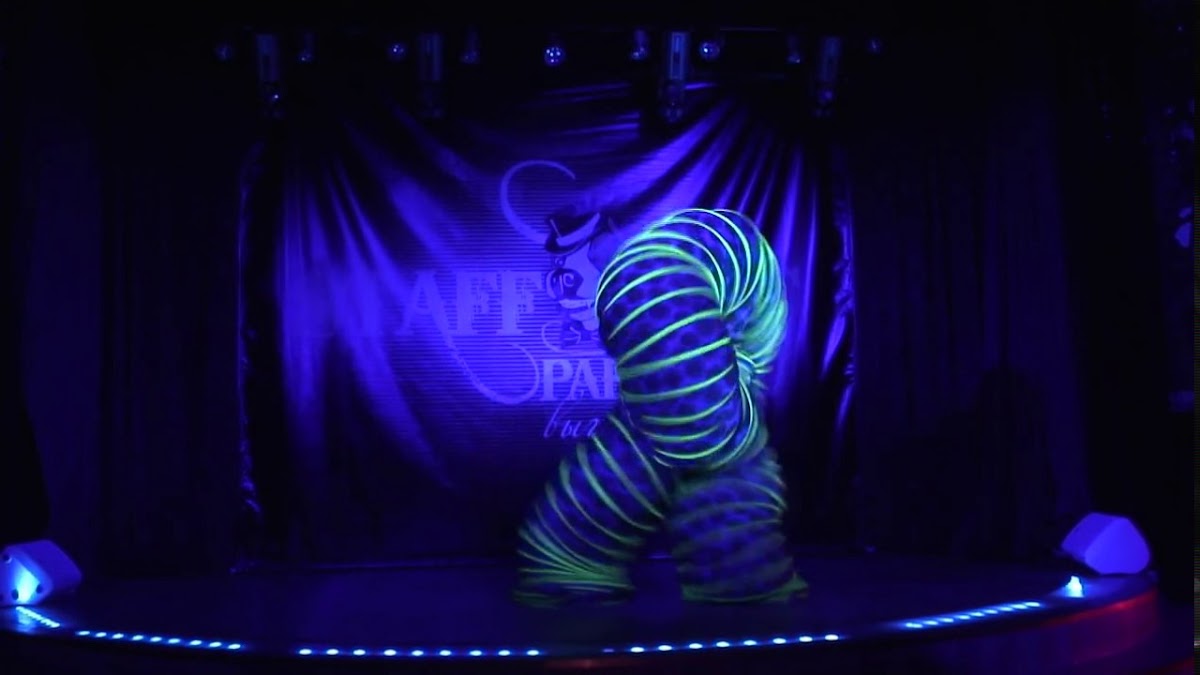 Шоу- дуэт «Circus»