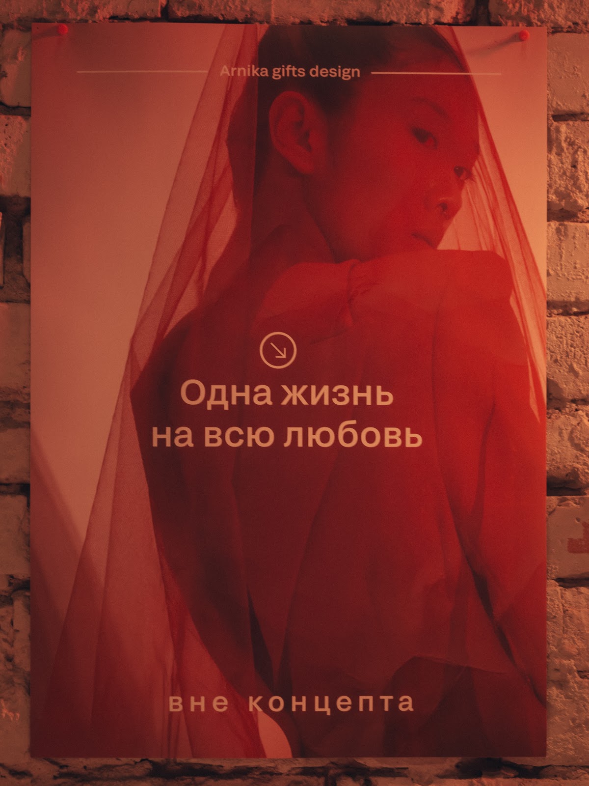 ARNIKA