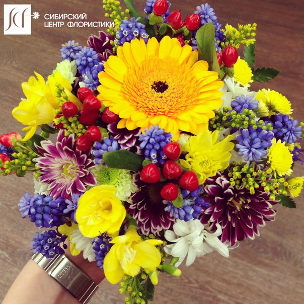 Кадр 33 из 34