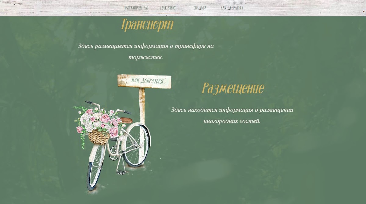 Портфолио