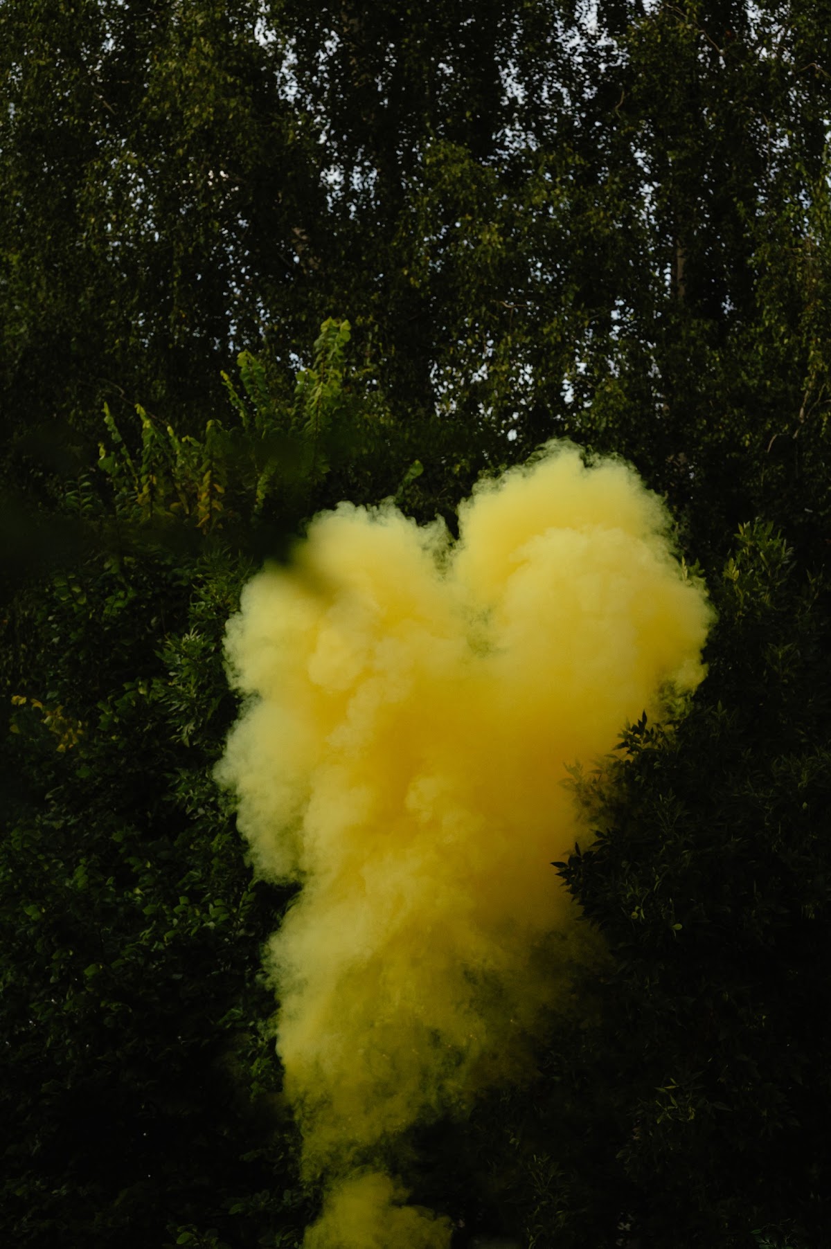 Кадр 36 из 168